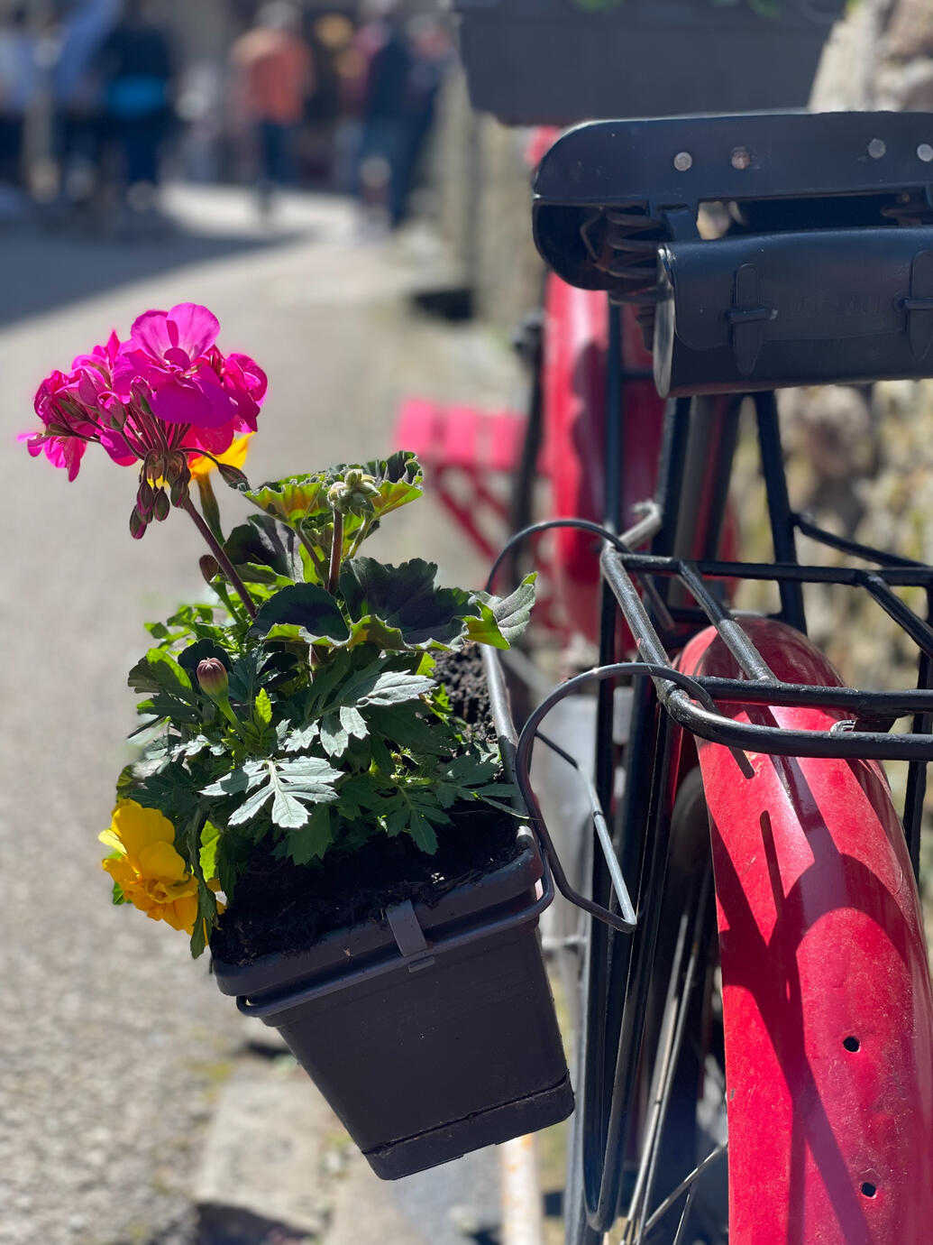 Yvoire à vélo