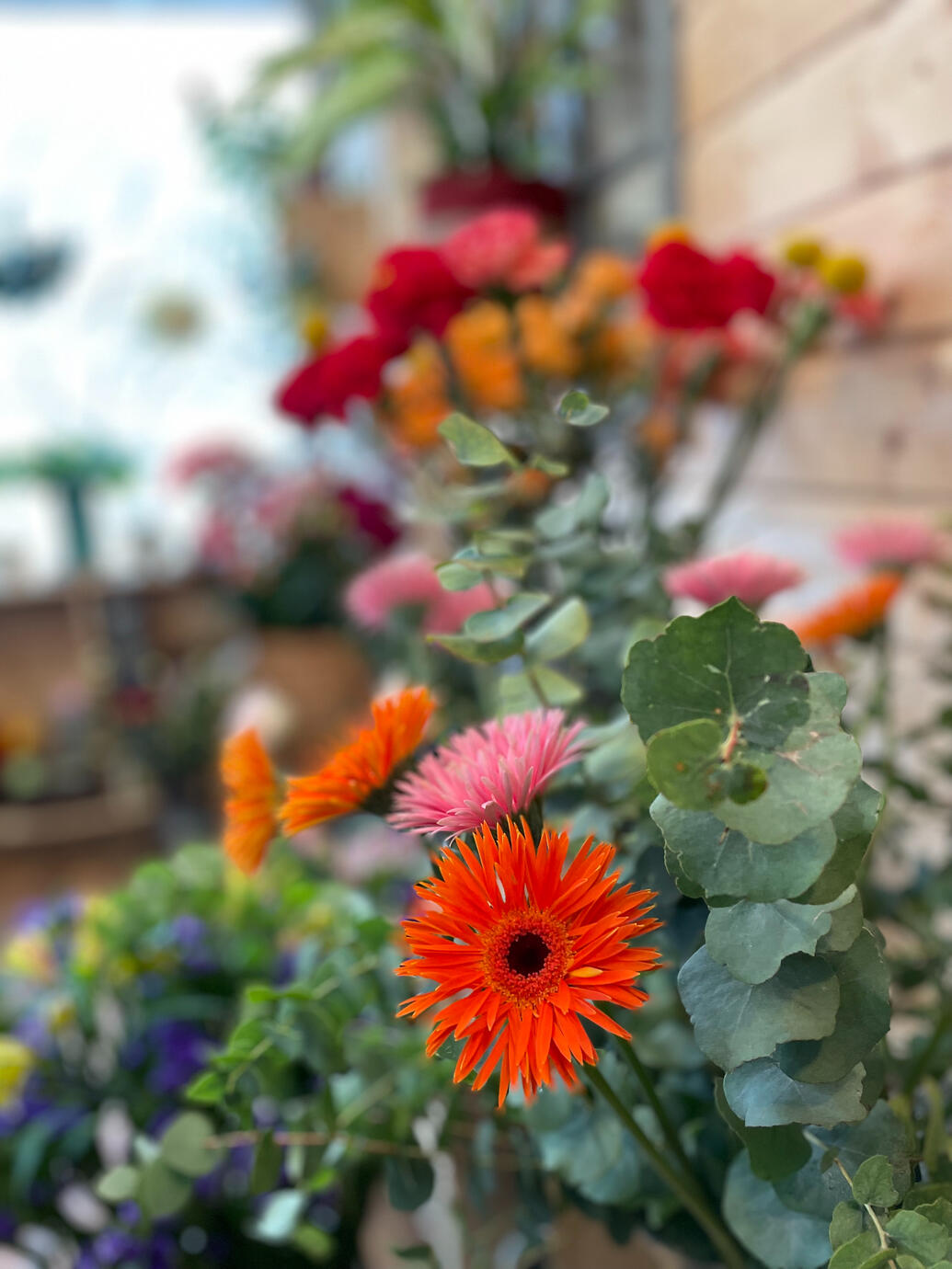 La Vie en Fleurs 3