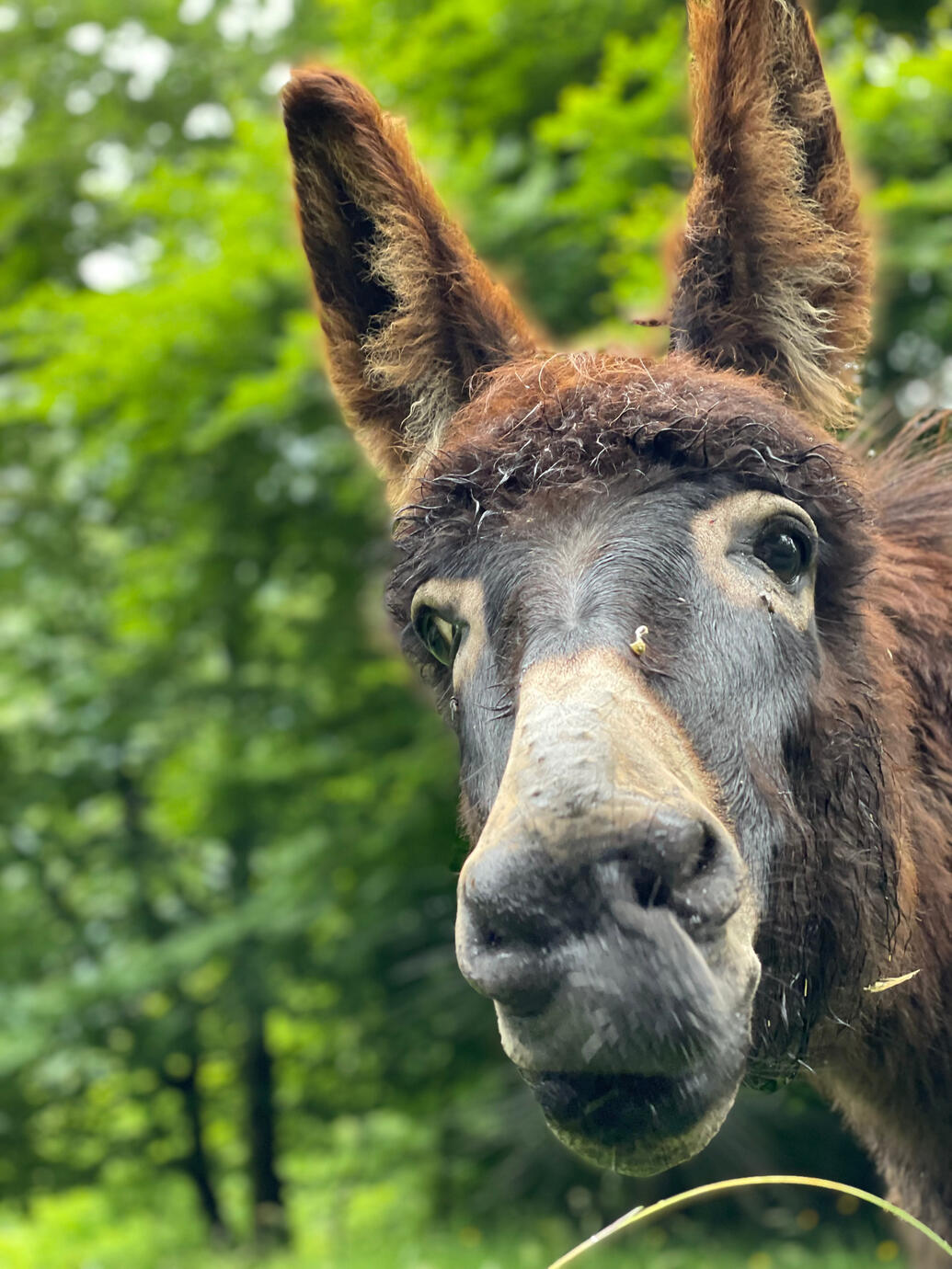 Are you watching me?