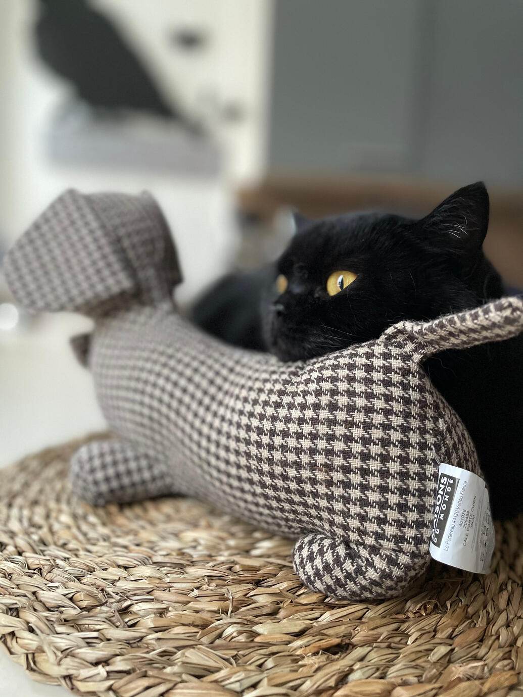 Black & grey