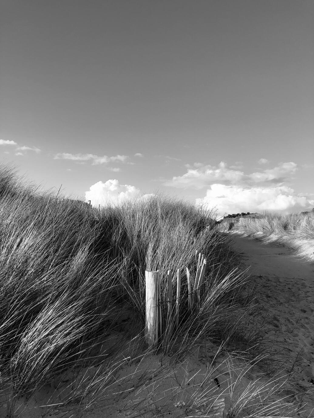 Bretagne