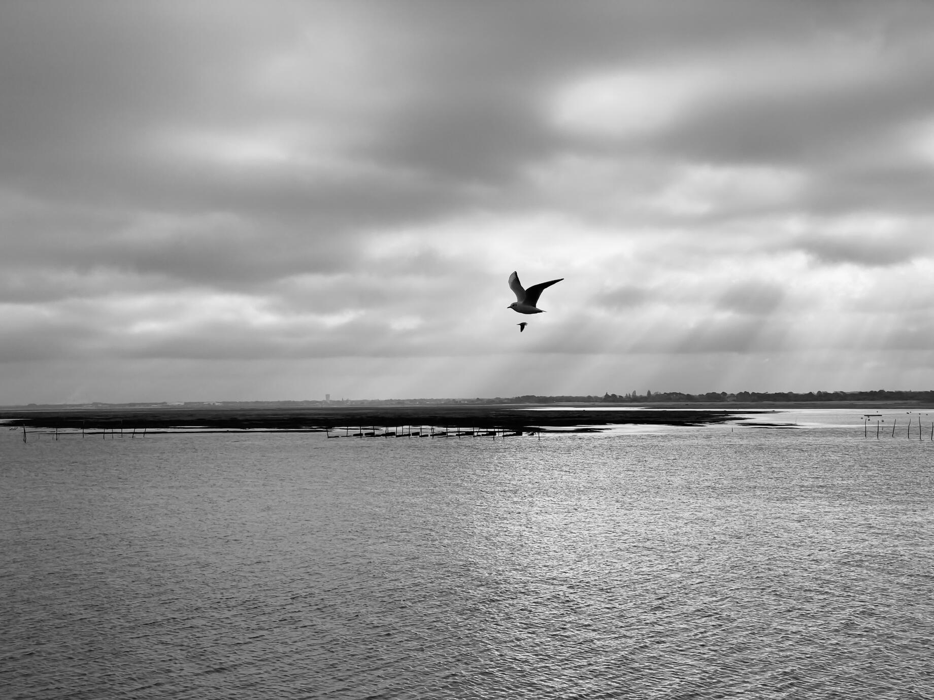 Bassin d'Arcachon
