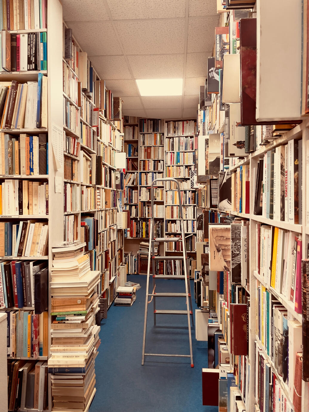 Labyrinthe de lecture